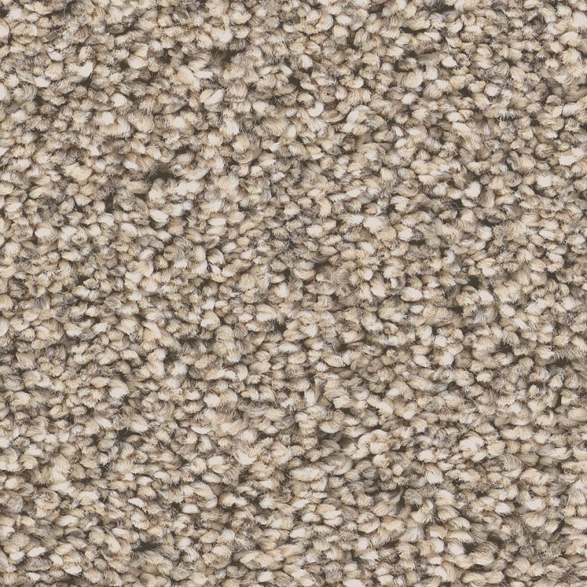Shaw Pet Perfect Grand Influence I 00710 Sand Hill Carpet — Stone ...