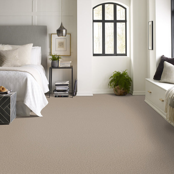Pet Perfect Grand Influence III Sand Hill Textured 00710
