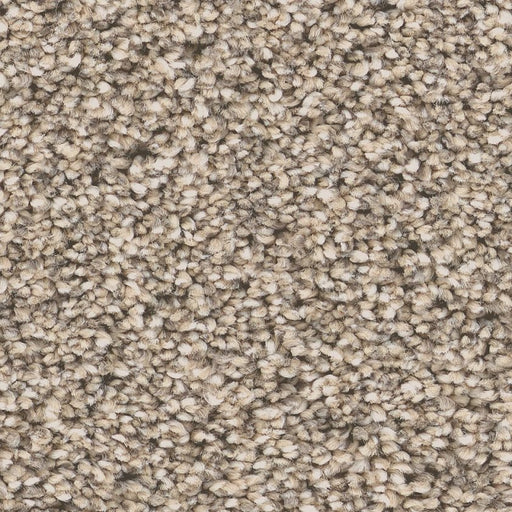 Pet Perfect Grand Influence III Sand Hill 00710