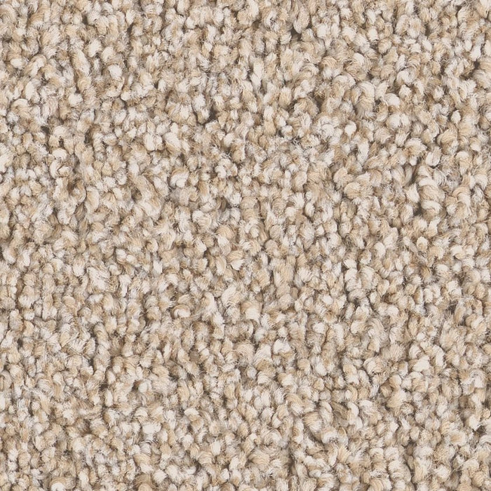 Pet Perfect Grand Influence I Satin Shimmer 00122