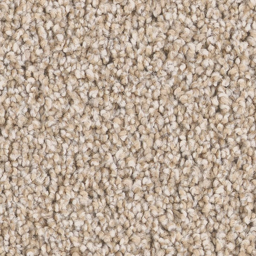 Pet Perfect Grand Influence III Satin Shimmer 00122