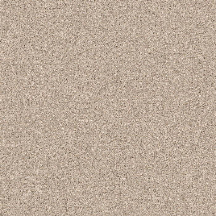 Pet Perfect Grand Influence II Polyester Satin Shimmer 00122