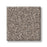 Pet Perfect Grand Influence I Stepping Stone 00126