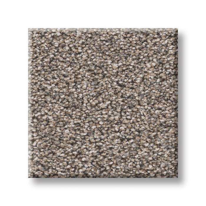 Pet Perfect Grand Influence I Stepping Stone 00126
