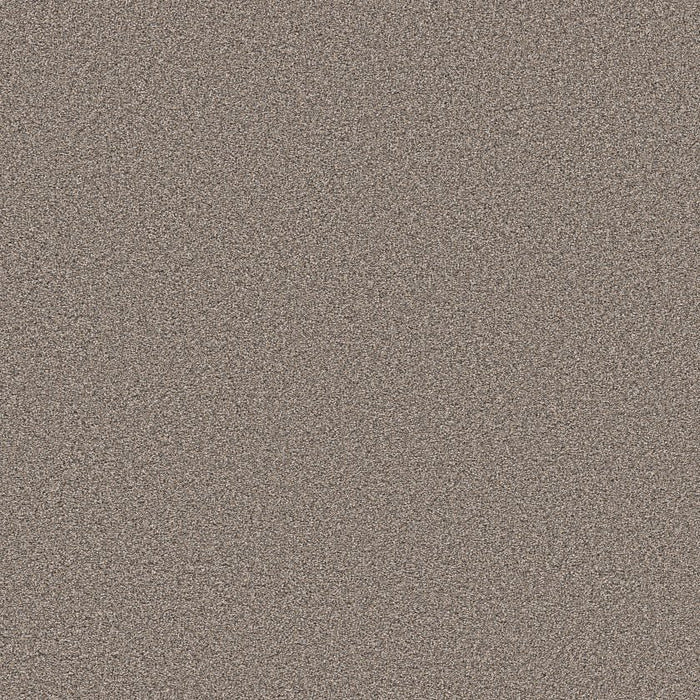Pet Perfect Grand Influence I Polyester Stepping Stone 00126