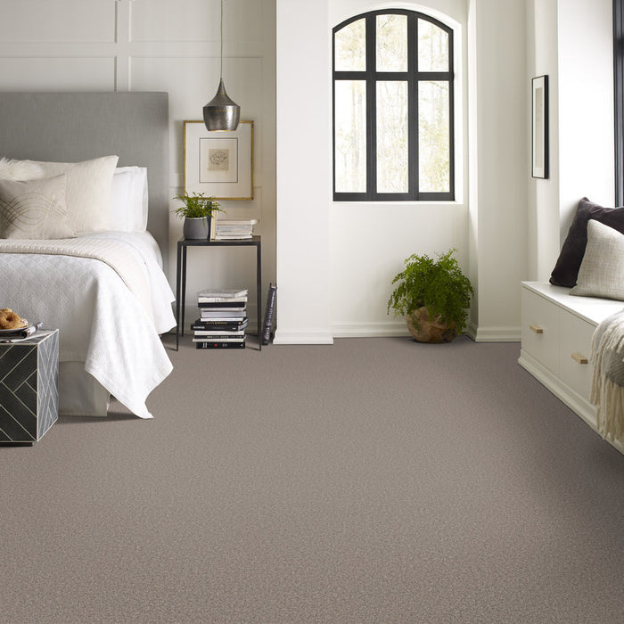 Pet Perfect Grand Influence I Stepping Stone Textured 00126