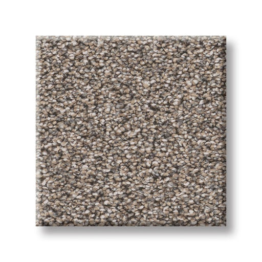 Pet Perfect Grand Influence III Stepping Stone 00126