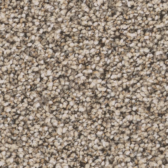 Pet Perfect Grand Influence III Stucco 00120