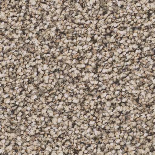 Pet Perfect Grand Influence I Stucco 00120