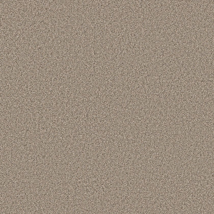 Pet Perfect Grand Influence I Polyester Stucco 00120