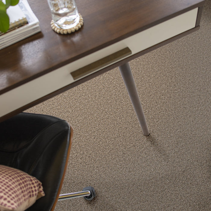 Pet Perfect Grand Influence III Stucco 00120 Textured Polyester