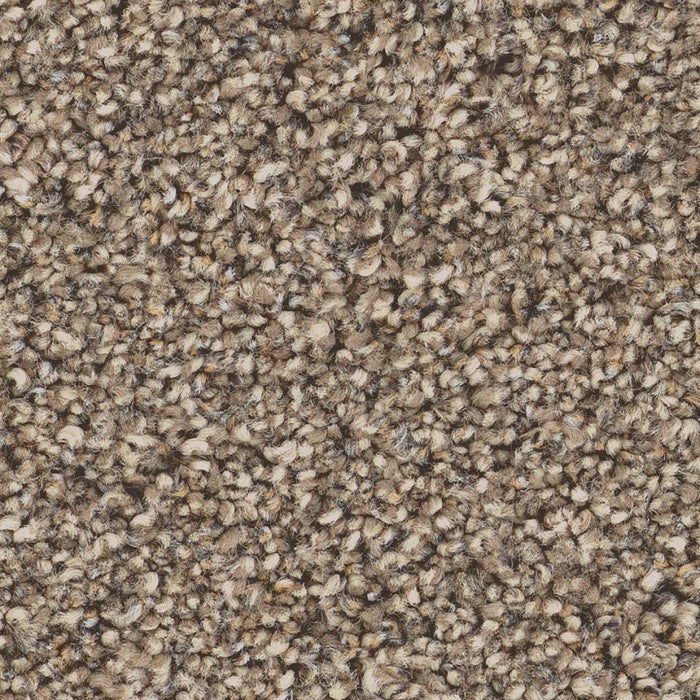 Pet Perfect Grand Influence II Summer Straw 00210