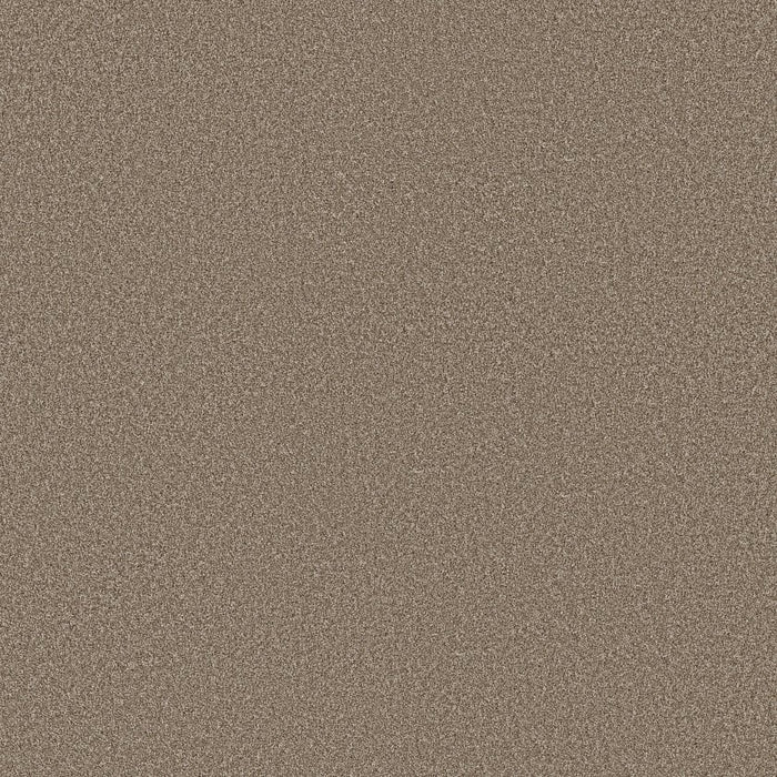 Imaginable III Clay Polyester Carpet - Textured