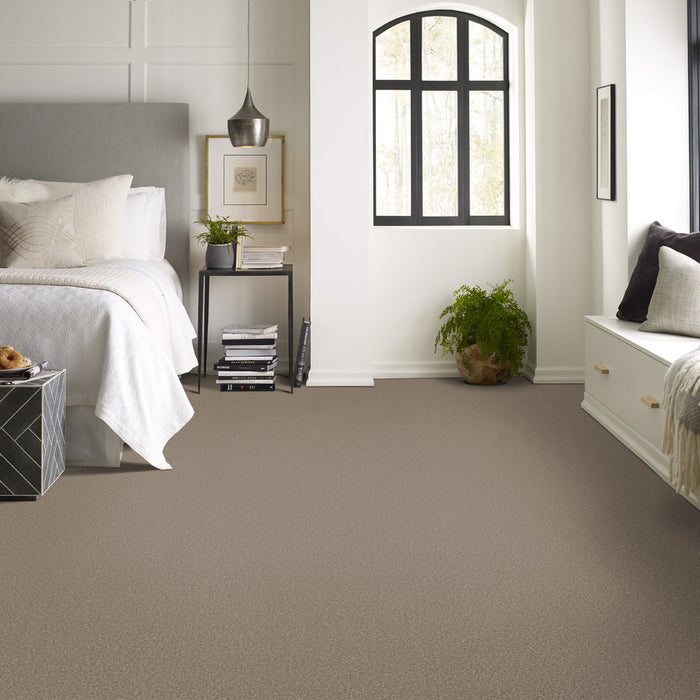 Imaginable II Clay Polyester Carpet - Textured