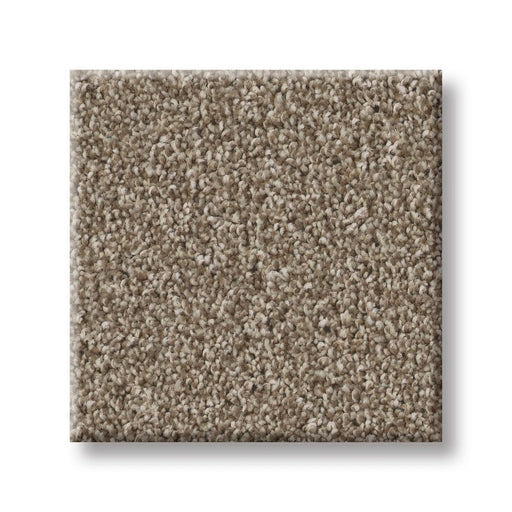 Imaginable III Clay Polyester Carpet - Textured