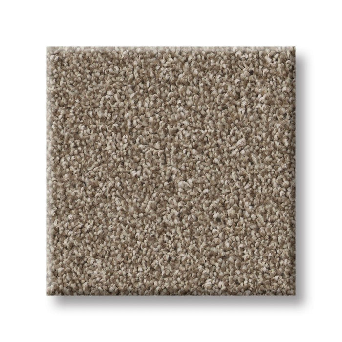 Imaginable III Clay Polyester Carpet - Textured