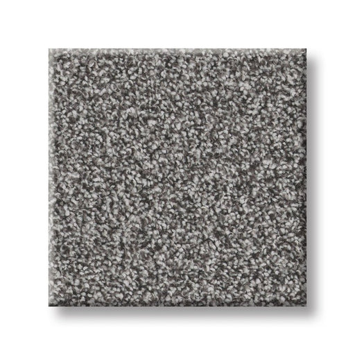 Imaginable III Concrete Polyester Carpet - Textured