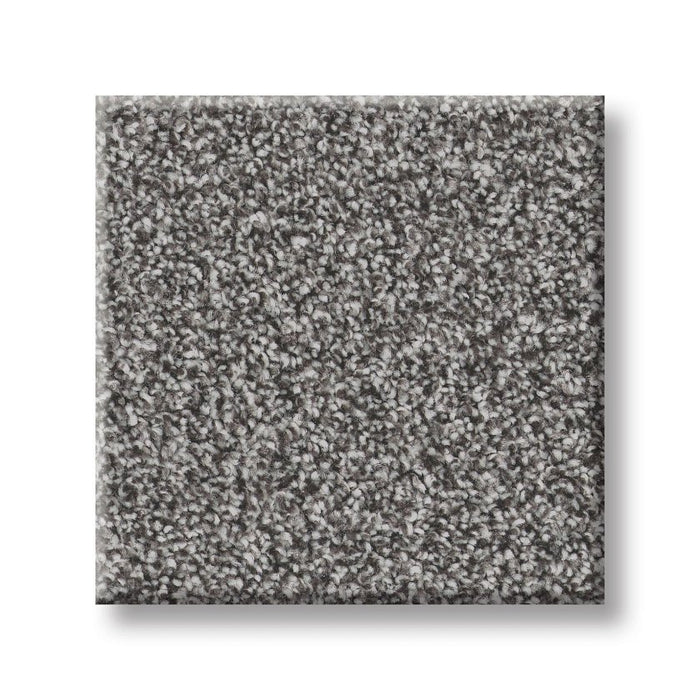Imaginable III Concrete Polyester Carpet - Textured