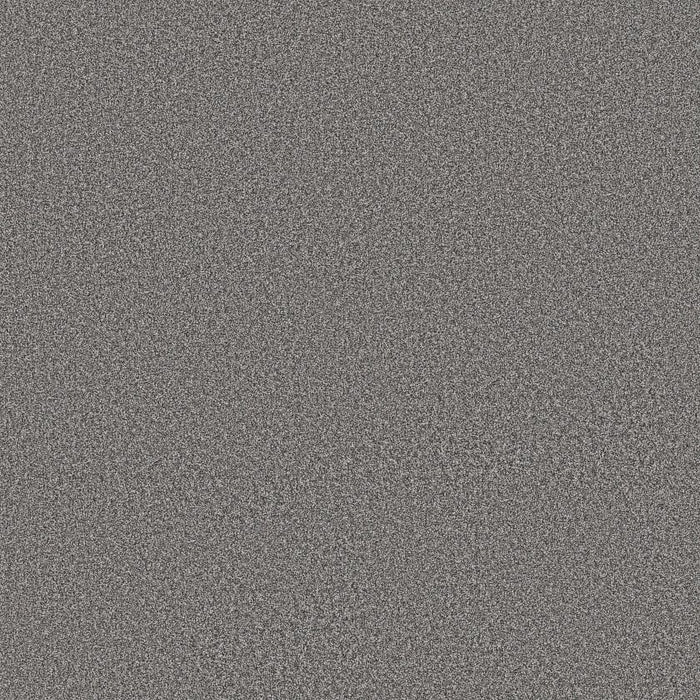 Imaginable III Concrete Polyester Carpet - Textured