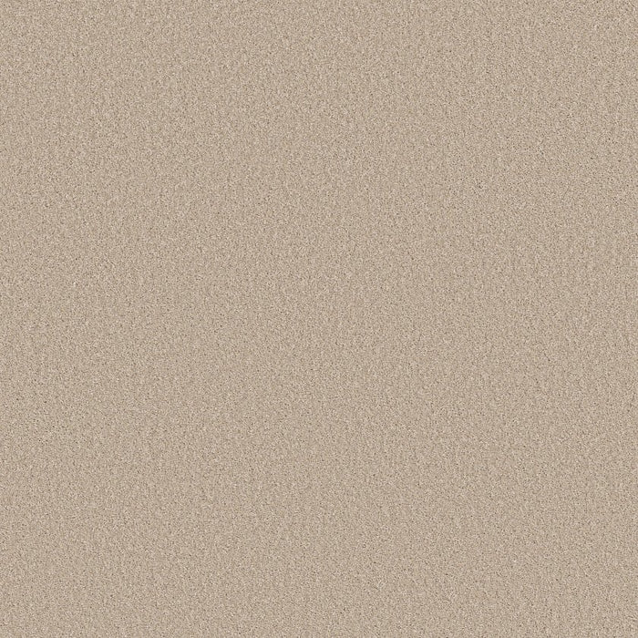 Imaginable III Polyester Dunes 00100