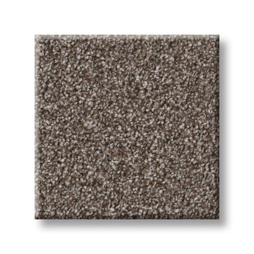 Imaginable I French Roast Polyester Carpet - Textured