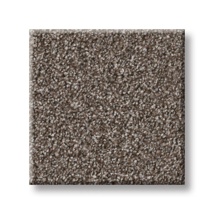 Imaginable III French Roast Polyester Carpet - Textured