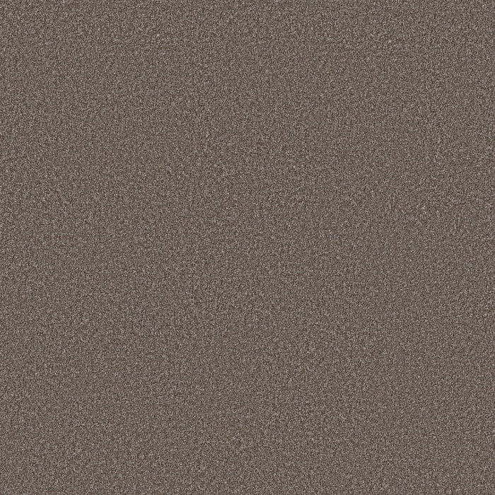 Imaginable III French Roast Polyester Carpet - Textured