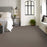 Imaginable I French Roast Polyester Carpet - Textured