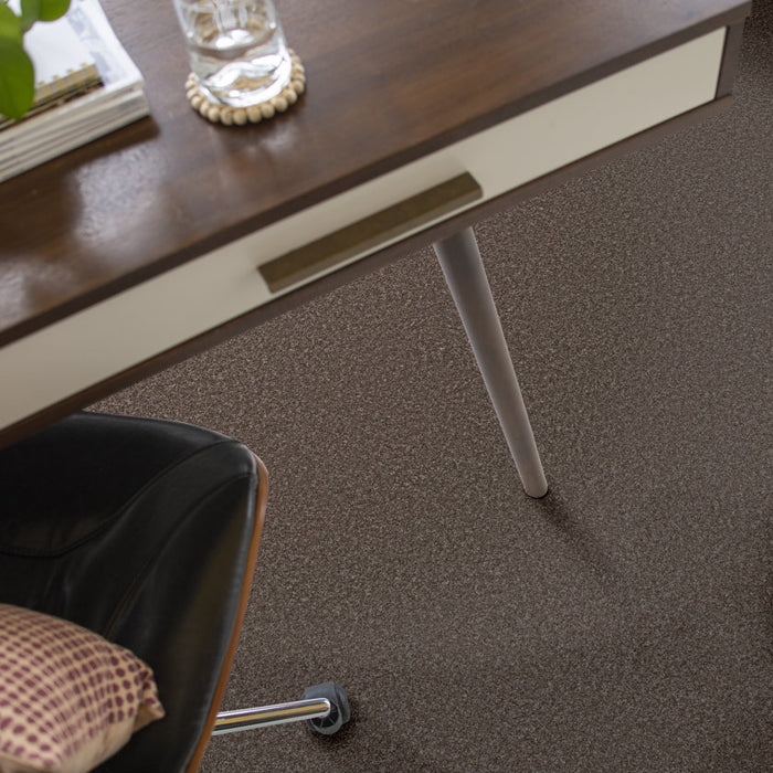 Imaginable III French Roast Polyester Carpet - Textured