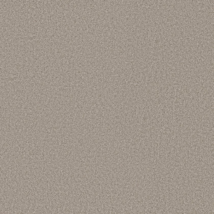 Imaginable III Granite Dust Polyester Carpet - Textured