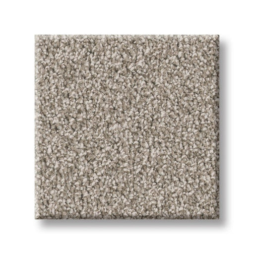 Imaginable II Granite Dust Polyester Carpet - Textured