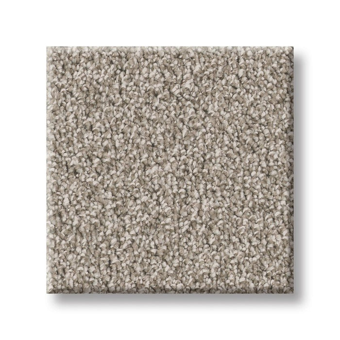 Imaginable II Granite Dust Polyester Carpet - Textured