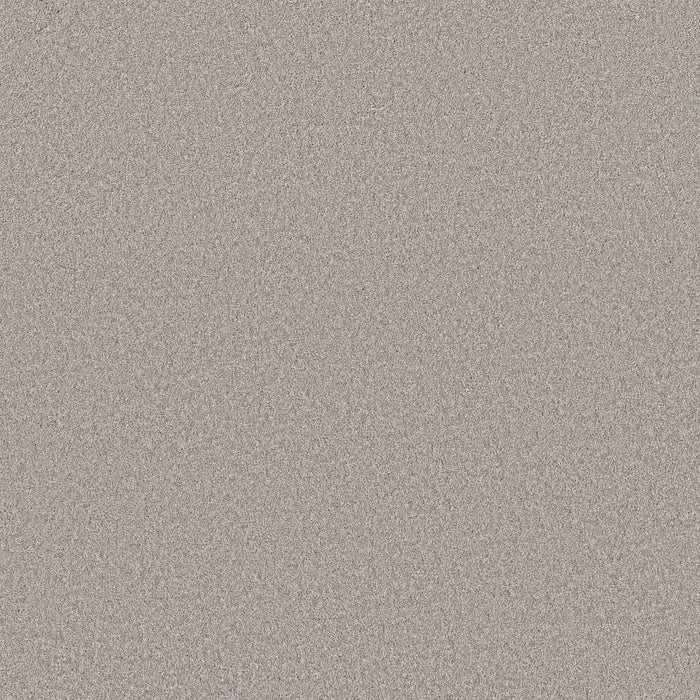 Imaginable III Polyester Great Greige 00120