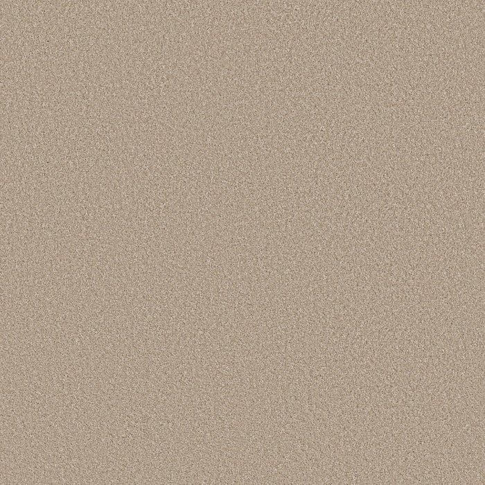 Imaginable I Polyester Latte 00125