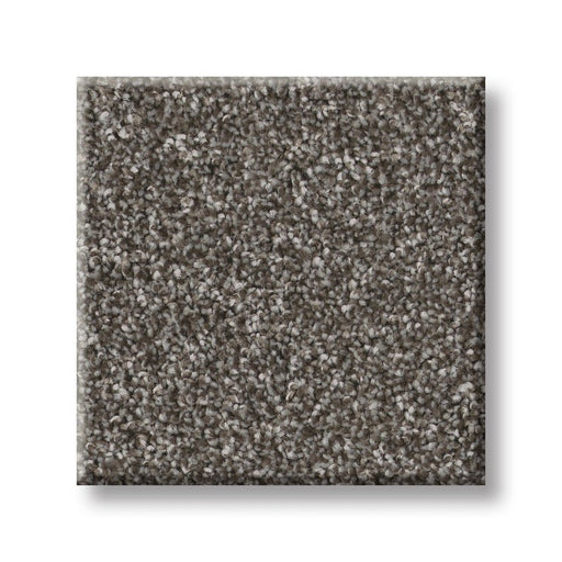 Imaginable III Sparrow Polyester Carpet - Textured
