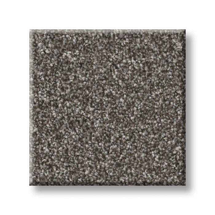 Imaginable III Sparrow Polyester Carpet - Textured