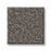 Imaginable I Sparrow Polyester Carpet - Textured