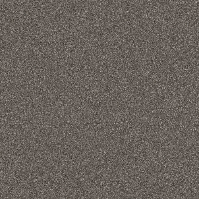 Imaginable I Sparrow Polyester Carpet - Textured