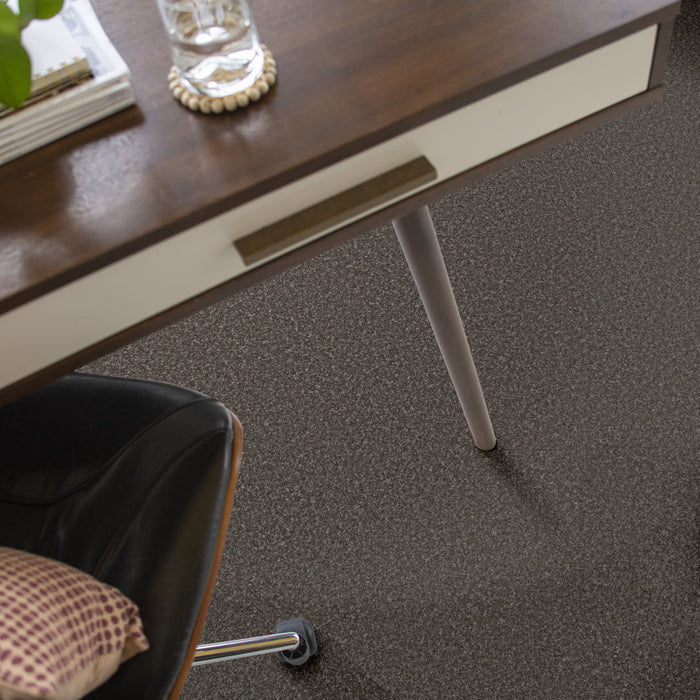 Imaginable II Sparrow Polyester Carpet - Textured