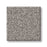 Imaginable I Stone Path Polyester Carpet - Textured