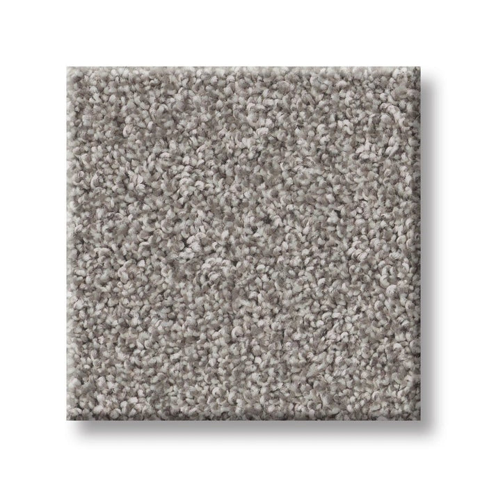 Imaginable I Stone Path Polyester Carpet - Textured
