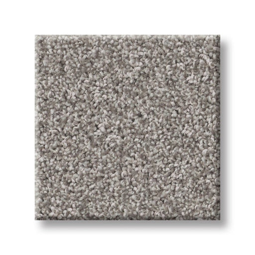 Imaginable II Stone Path Polyester Carpet - Textured