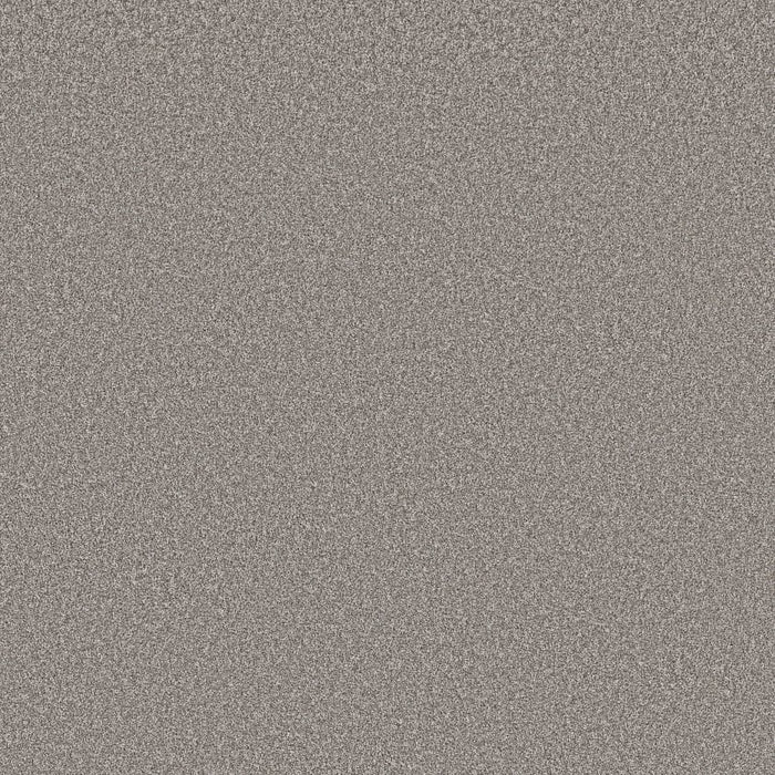 Imaginable I Stone Path Polyester Carpet - Textured