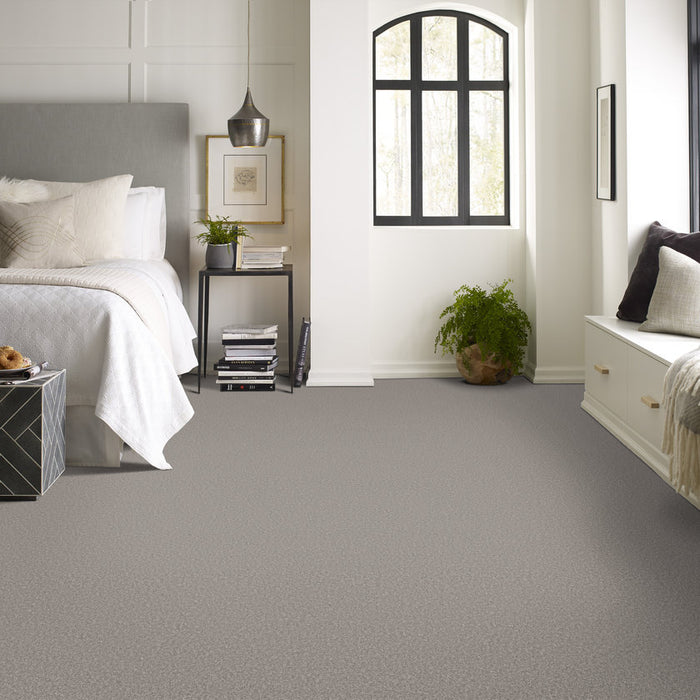 Imaginable I Stone Path Polyester Carpet - Textured