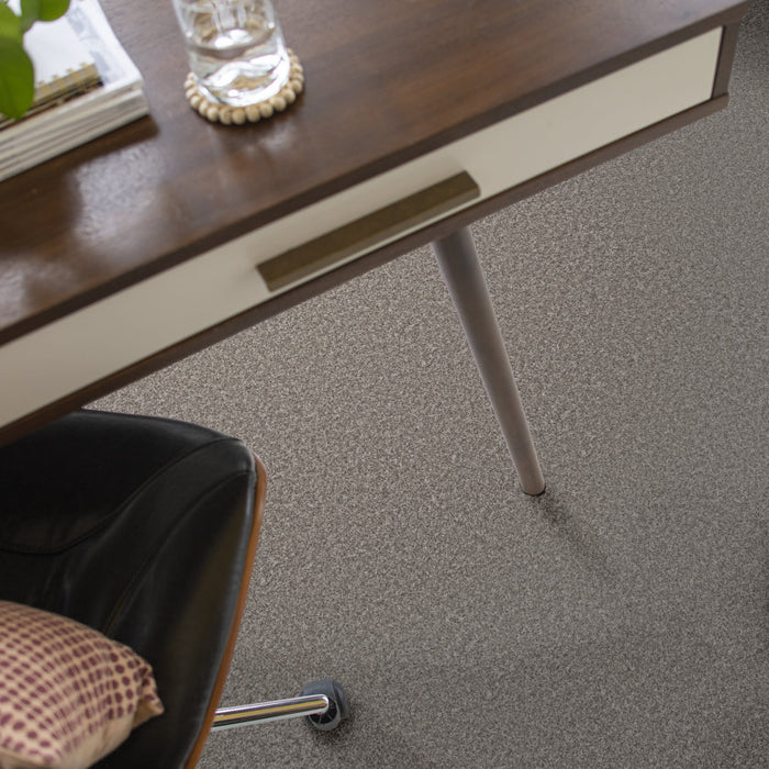 Imaginable I Stone Path Polyester Carpet - Textured