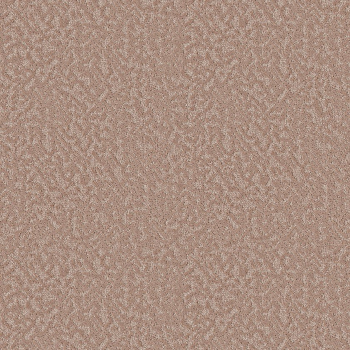 Pet Perfect Joyful Spirit Polyester Lullaby 00800