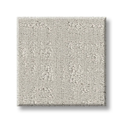 Pet Perfect Natural Instinct Ash 00500