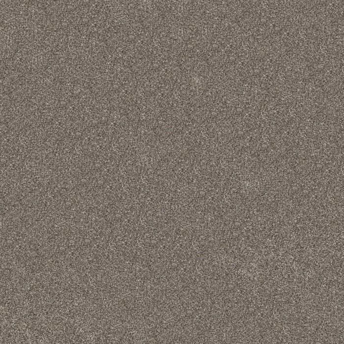 Pet Perfect Plus Refined Beauty Polyester Coffee 00701