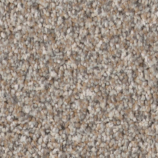 Pet Perfect Plus Refined Beauty Dawn Beige 00107