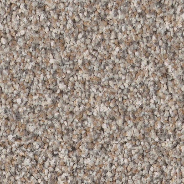 Pet Perfect Plus Refined Beauty Dawn Beige 00107